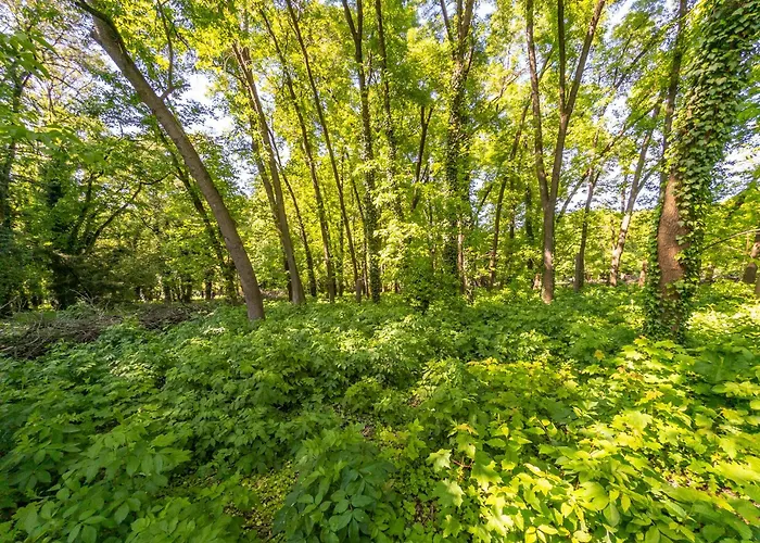 Apartament Fala Metro Sgh Klub Stodoła Parking Parkview Fast Wifi