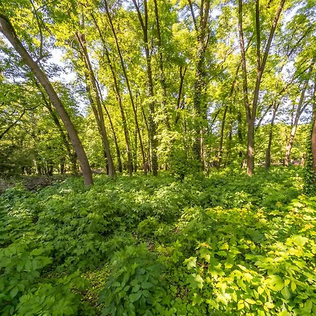 Apartmán Fala Metro Sgh Klub Stodola Parking Parkview Fast Wifi